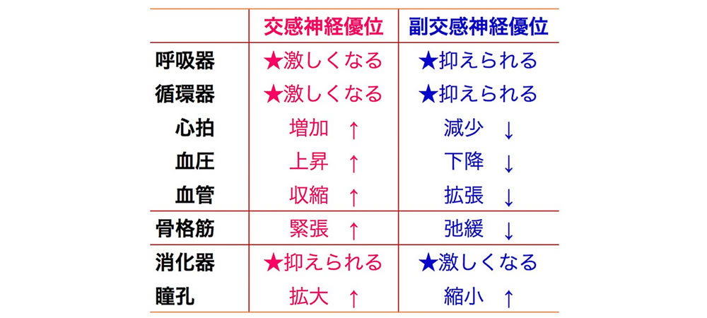 サンプルイメージ